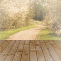 Empty perspective brown wood over blurred trees with bokeh background, for product display montage Royalty Free Stock Photo