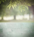 Empty perspective green wood over blurred trees with bokeh background, for product display montage Royalty Free Stock Photo