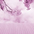 Empty perspective wood over blurred, blooming trees with bokeh b Royalty Free Stock Photo