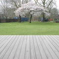 Empty perspective wood over blurred, blooming trees n park with