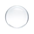 Empty petri dish isolated