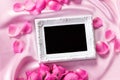 Empty photo frame with a bouquet sweet pink roses petal on sof Royalty Free Stock Photo