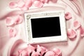 Empty photo frame with a bouquet sweet pink roses petal on sof Royalty Free Stock Photo