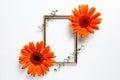 Empty photo frame with gerbera flowers, eucalyptus leaves on white background Royalty Free Stock Photo