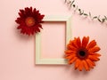 Empty photo frame with red orange gerbera daisy flowers and eucalyptus leaf on pink background Royalty Free Stock Photo