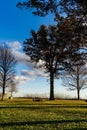 An empty picnic area and tree silhouettes over a grassy field in the middle of nowhere.