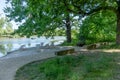 Empty Picnic Area Under Trees By The Lake