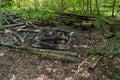 Empty picnic spot in a forest in Europe. Extinguished fire place with charred wood, sitting spaces made of logs, wide angle shot,