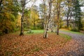 Empty picnic table in a wooded park covered with fallen leaves on a rainy autumn day Royalty Free Stock Photo