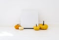 Empty picture frame with autumn pumpkin decor in white interior. Thanksgiving minimal flat lay composition. Cozy clean home