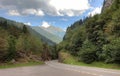 Beautiful mountain road landscape green forest trees winding alpine Alps Swiss Switzerland empty summer travel blue sky mountains Royalty Free Stock Photo