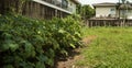 An empty piece of urban land turned into a small-scale farming undertaking