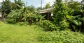 An empty piece of urban land turned into a small-scale farming undertaking