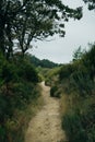 empty pilgrim trail in galicia, spain