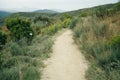 empty pilgrim trail in galicia, spain