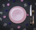 Empty pink ceramic plate and iron vintage knife with a fork on a Royalty Free Stock Photo