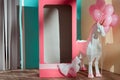 empty pink decorative box with bow and unicorn