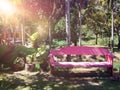 Empty pink wooden bench in garden Royalty Free Stock Photo