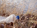 An empty plastic bottle with a blue cap lies on the shore in dry grass and leaves