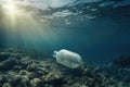 An empty plastic bottle floats in seawater contamination of the sea with waste. Generative ai Royalty Free Stock Photo