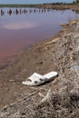 Empty plastic bottle and other garbage thrown by people on the lake, river and in water. Environmental pollution. Watter poluation Royalty Free Stock Photo