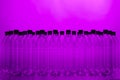 Empty plastic bottle silhouettes on purple background