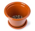 Empty plastic flower pot Royalty Free Stock Photo