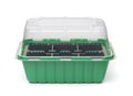 Empty plastic seedling box with transparent cover Royalty Free Stock Photo