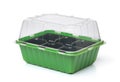 Empty plastic seedling box with transparent cover Royalty Free Stock Photo