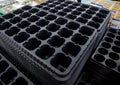 Empty plastic trays for growing young seedlings