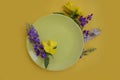 Empty plate, flower serving restaurant colored background spring bloom