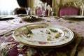 An empty plate with leftovers on the lavishly set dining table Royalty Free Stock Photo