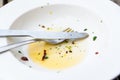 Empty plate with olive oil, herbs and chili leftover Royalty Free Stock Photo