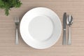 empty plate, spoon, fork and knife Royalty Free Stock Photo