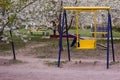 Empty playground with swings and slides with flowering trees. Lots of trees with small blooming flowers, background