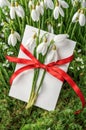 An empty postcard surrounded by snowdrops and tied with a red ribbon .Martisor and Baba Marta.Copy space