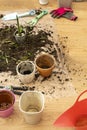 Empty pots, soil and utensils to make