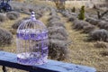 Decorative purple bird cage