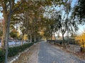 Empty quiet cycle path Chella autumn walk by trees  river  fence  wooden railings  fields  Spain  Europe. Brown leaves changing Royalty Free Stock Photo