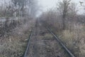 Empty railroad in foggy morning Royalty Free Stock Photo