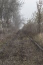 Empty railroad in foggy morning Royalty Free Stock Photo