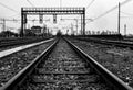 Empty railroad tracks on a rainy day Royalty Free Stock Photo