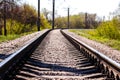 Empty Railroad Tracks Running In Forest at sunny summer day Royalty Free Stock Photo