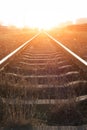 Empty railroad tracks Royalty Free Stock Photo