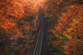 Empty Railway in Autumn Forest