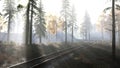 empty railway goes through foggy forest in morning Royalty Free Stock Photo