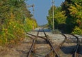 Empty railway tracks with greenery on both sides Royalty Free Stock Photo