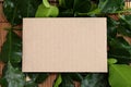 Empty recipe brown paper texture with variety fresh haelthy her