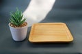Empty Wooden plate on dark grey background with light and a small plant pot. Royalty Free Stock Photo