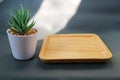Empty Wooden plate on dark grey background with light and a small plant pot. forty-five degrees view Royalty Free Stock Photo